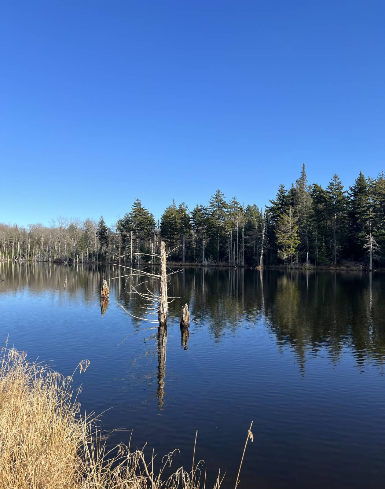 #15 photo, 0 North Rd, West Turin , NY 13325