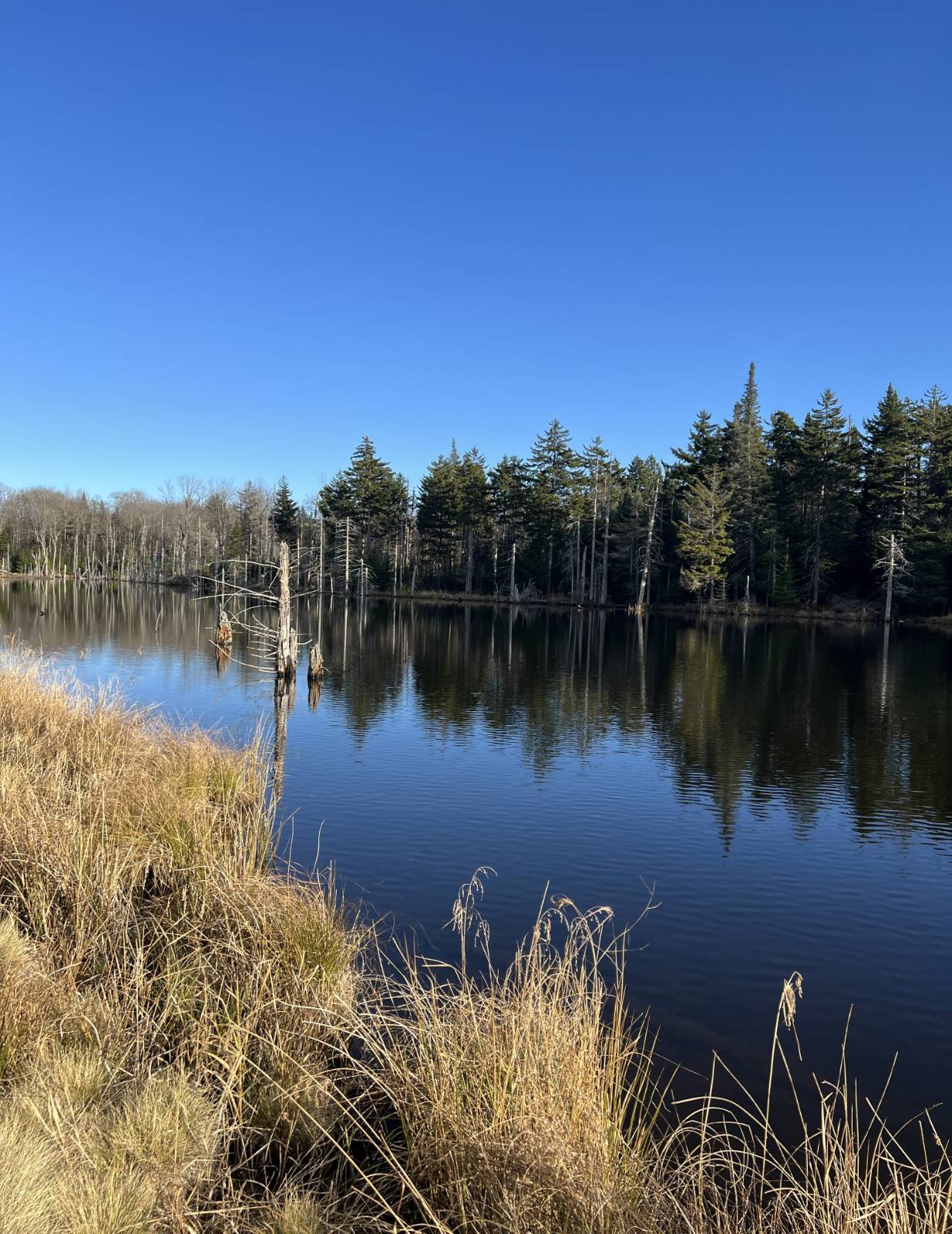 #16 photo, 0 North Rd, West Turin , NY 13325