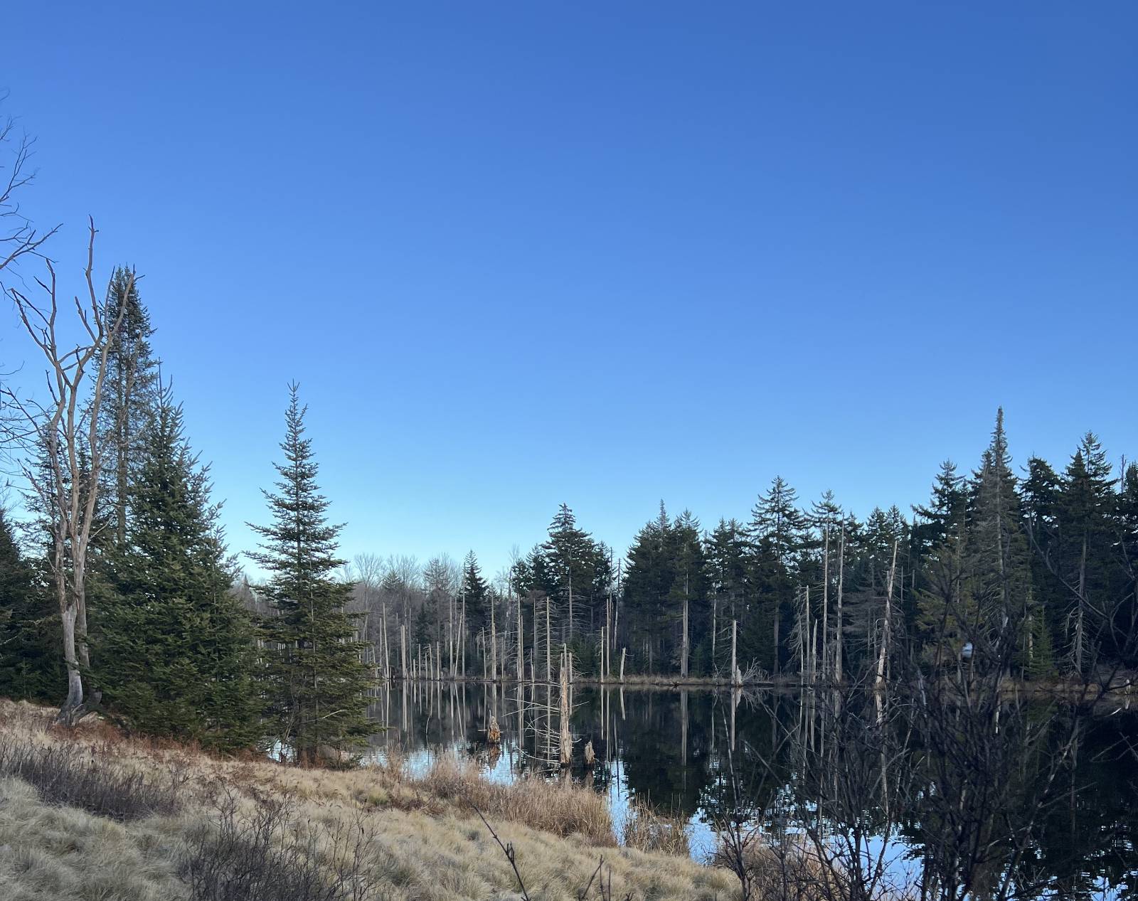 #17 photo, 0 North Rd, West Turin , NY 13325