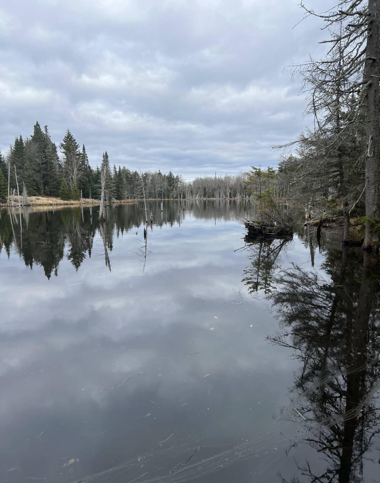 #18 photo, 0 North Rd, West Turin , NY 13325