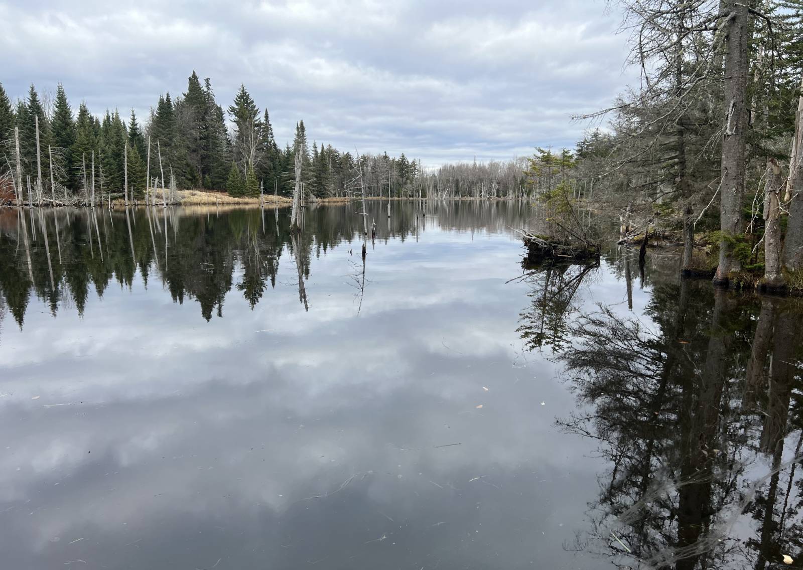 #19 photo, 0 North Rd, West Turin , NY 13325