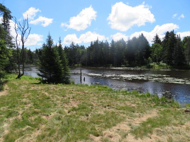 #3 photo, 0 North Rd, West Turin , NY 13325