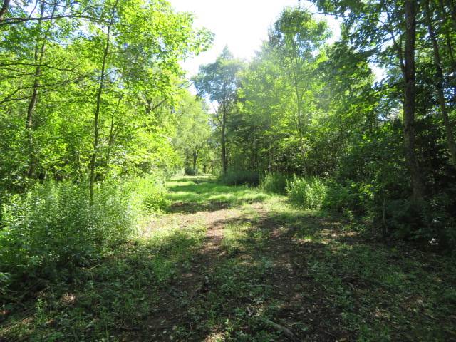 #5 photo, 0 North Rd, West Turin , NY 13325