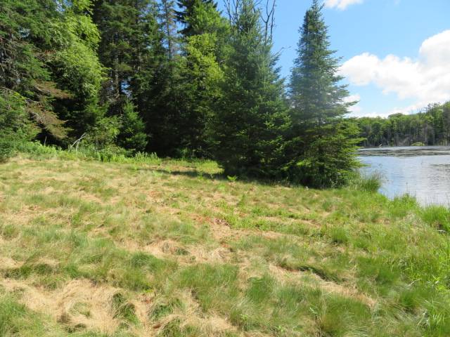 #6 photo, 0 North Rd, West Turin , NY 13325