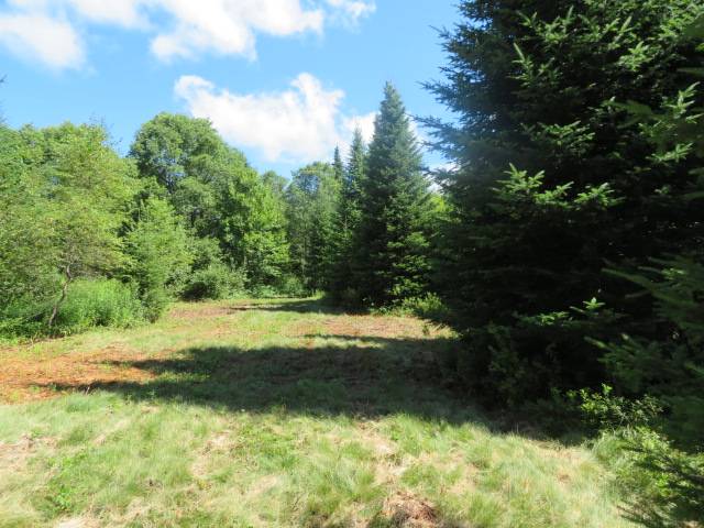 #7 photo, 0 North Rd, West Turin , NY 13325