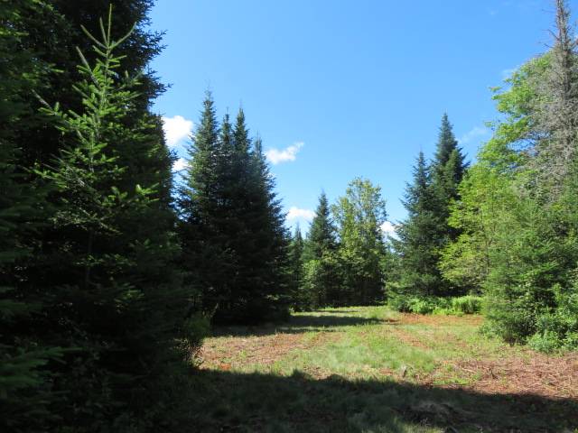 #8 photo, 0 North Rd, West Turin , NY 13325