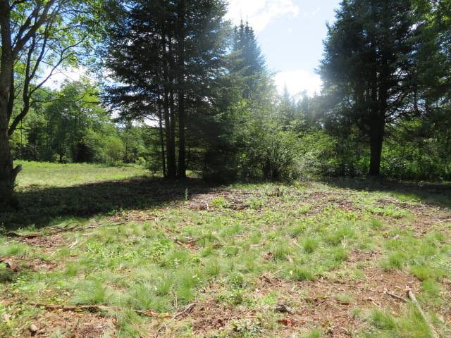 #9 photo, 0 North Rd, West Turin , NY 13325