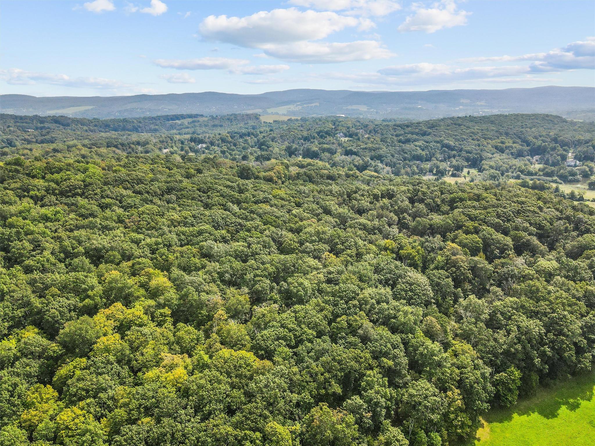 #12 photo, 146 Pine Island Turnpike, Warwick , NY 10990