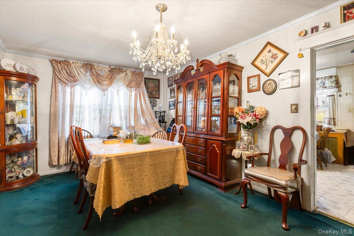 #7 photo, 3629 Tibbett Avenue, ブロンクス区 Bronx , NY 10463