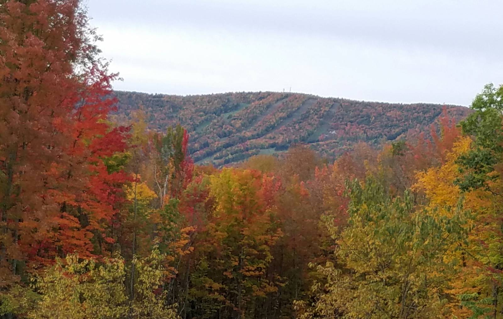 #18 photo, 5359 Main St., #2C, Windham , NY 12496