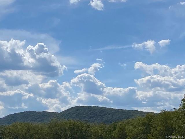 #9 photo, 472 Wheeler Road, Florida , NY 10921