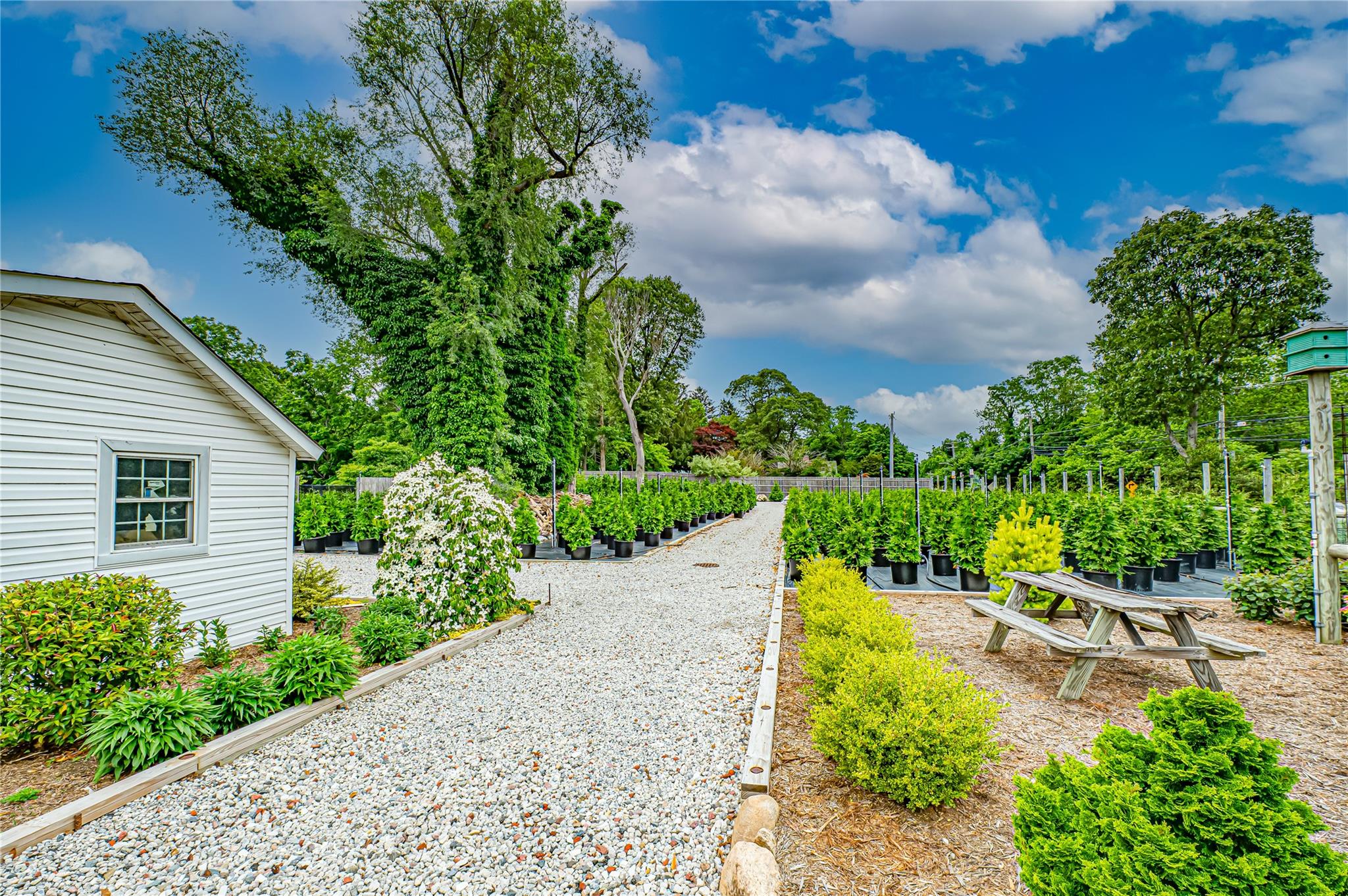 #13 photo, 185-191 N Country Road, サフォーク郡 Mount Sinai , NY 11766