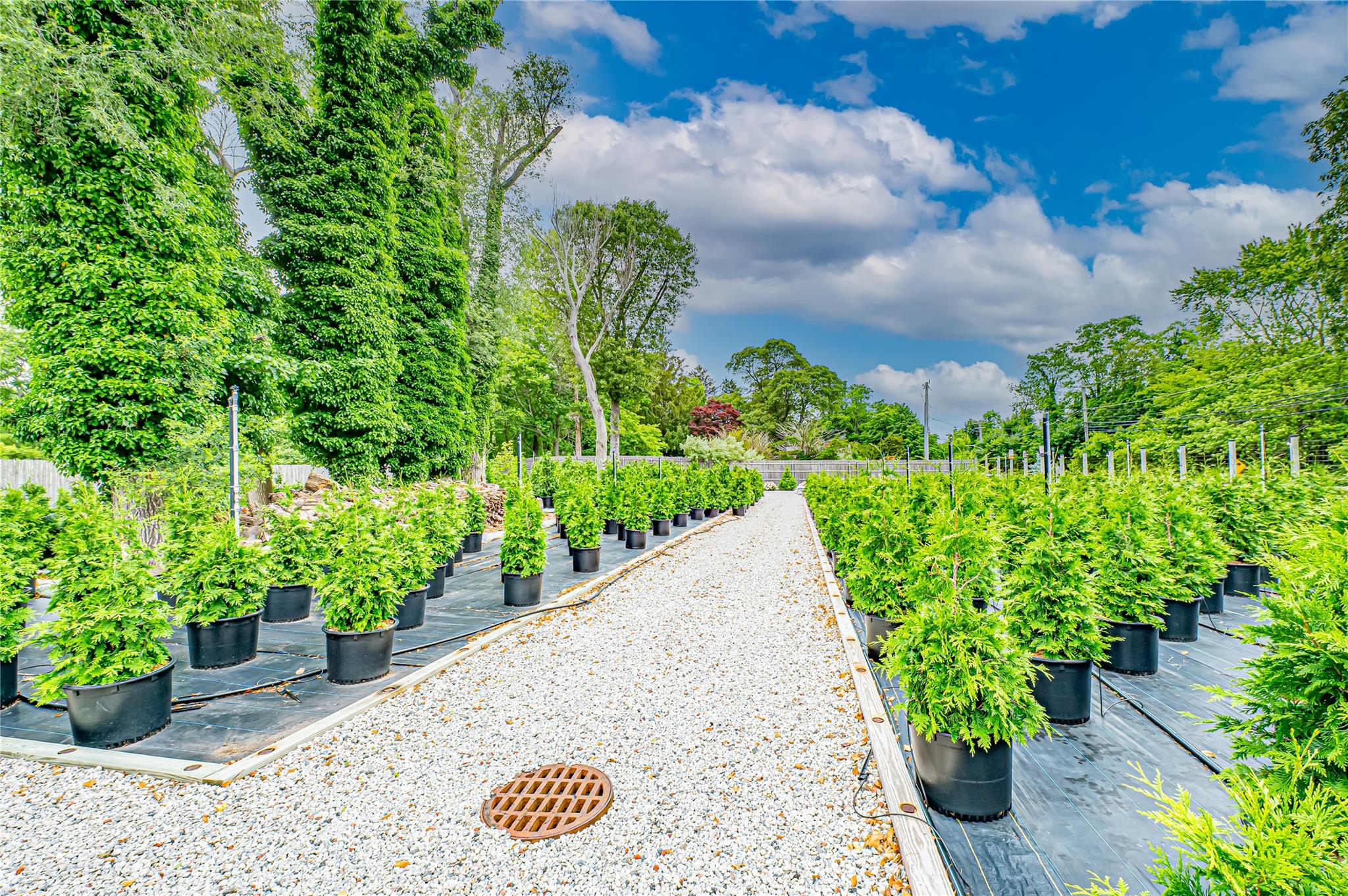 #15 photo, 185-191 N Country Road, サフォーク郡 Mount Sinai , NY 11766