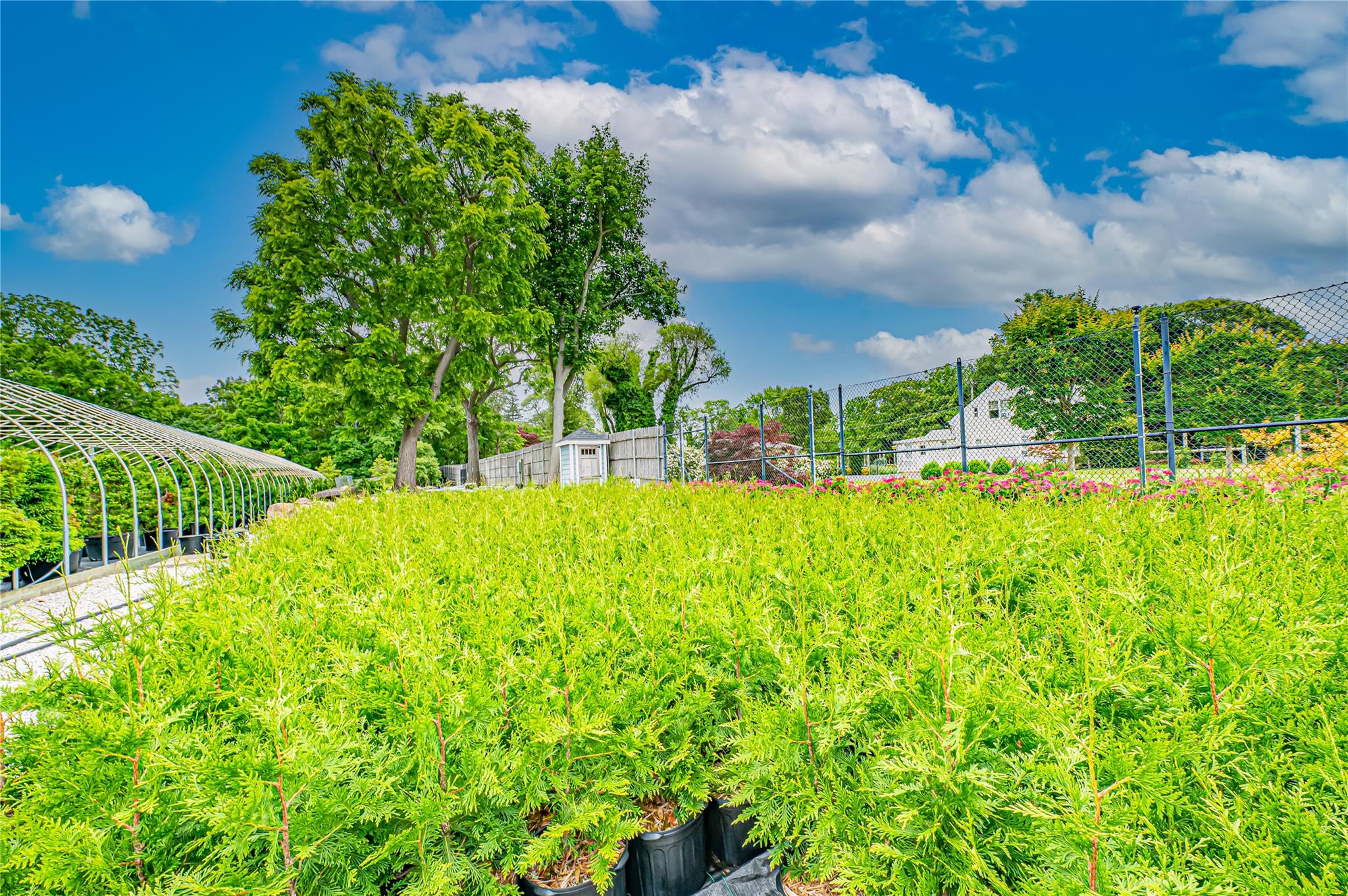 #16 photo, 185-191 N Country Road, サフォーク郡 Mount Sinai , NY 11766