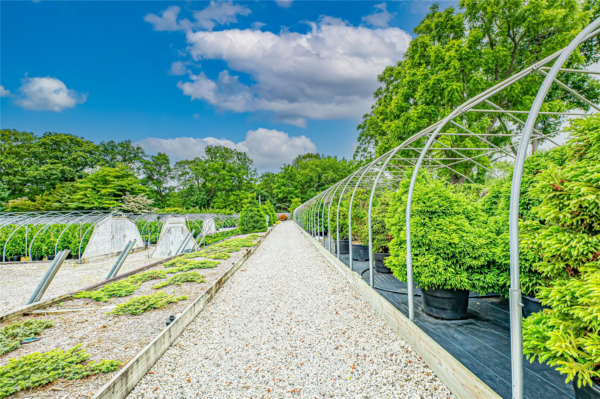 #17 photo, 185-191 N Country Road, サフォーク郡 Mount Sinai , NY 11766