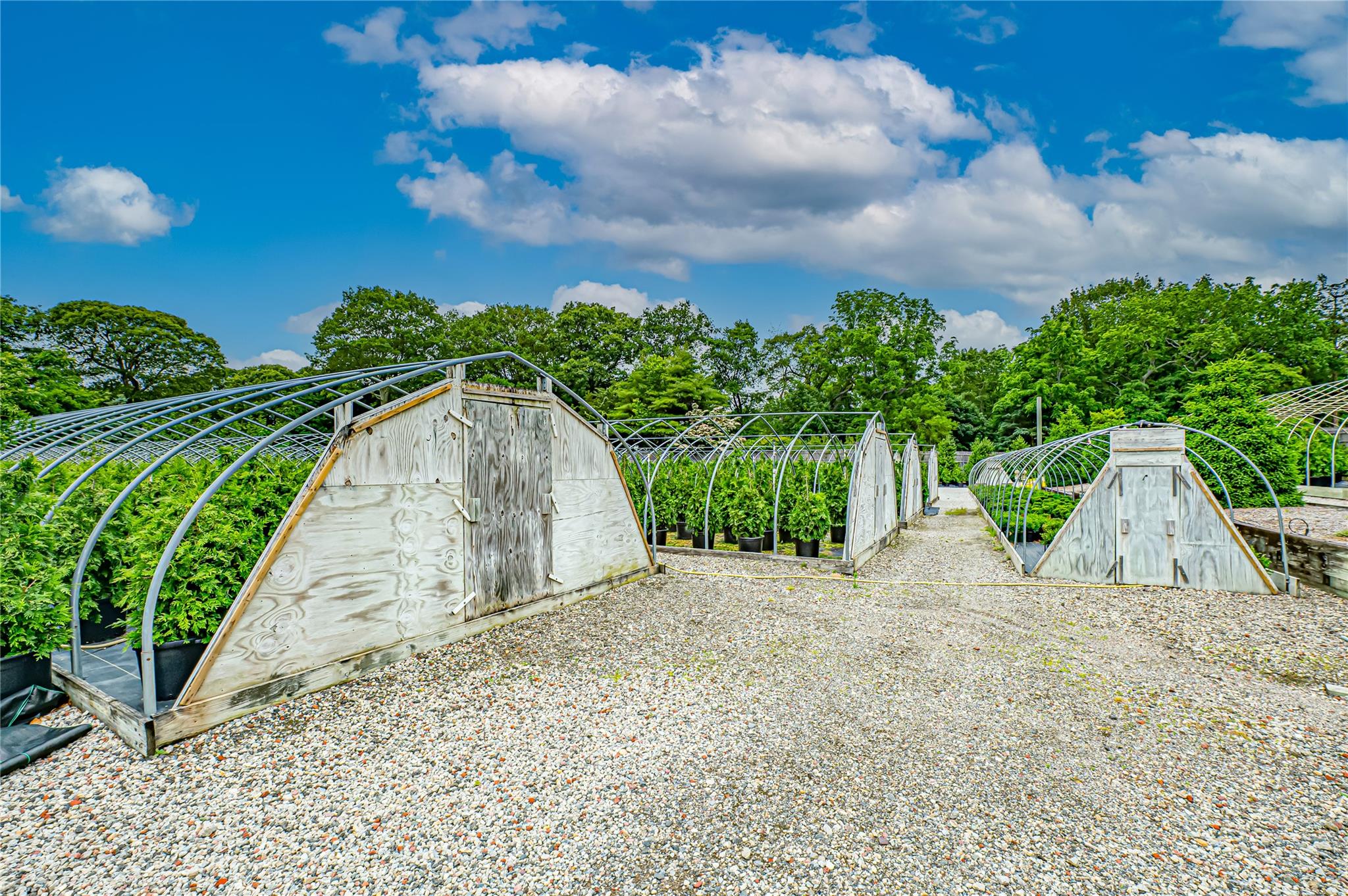 #18 photo, 185-191 N Country Road, サフォーク郡 Mount Sinai , NY 11766