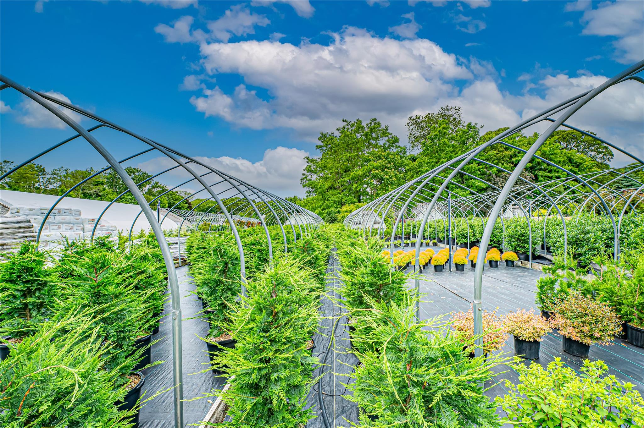 #20 photo, 185-191 N Country Road, サフォーク郡 Mount Sinai , NY 11766