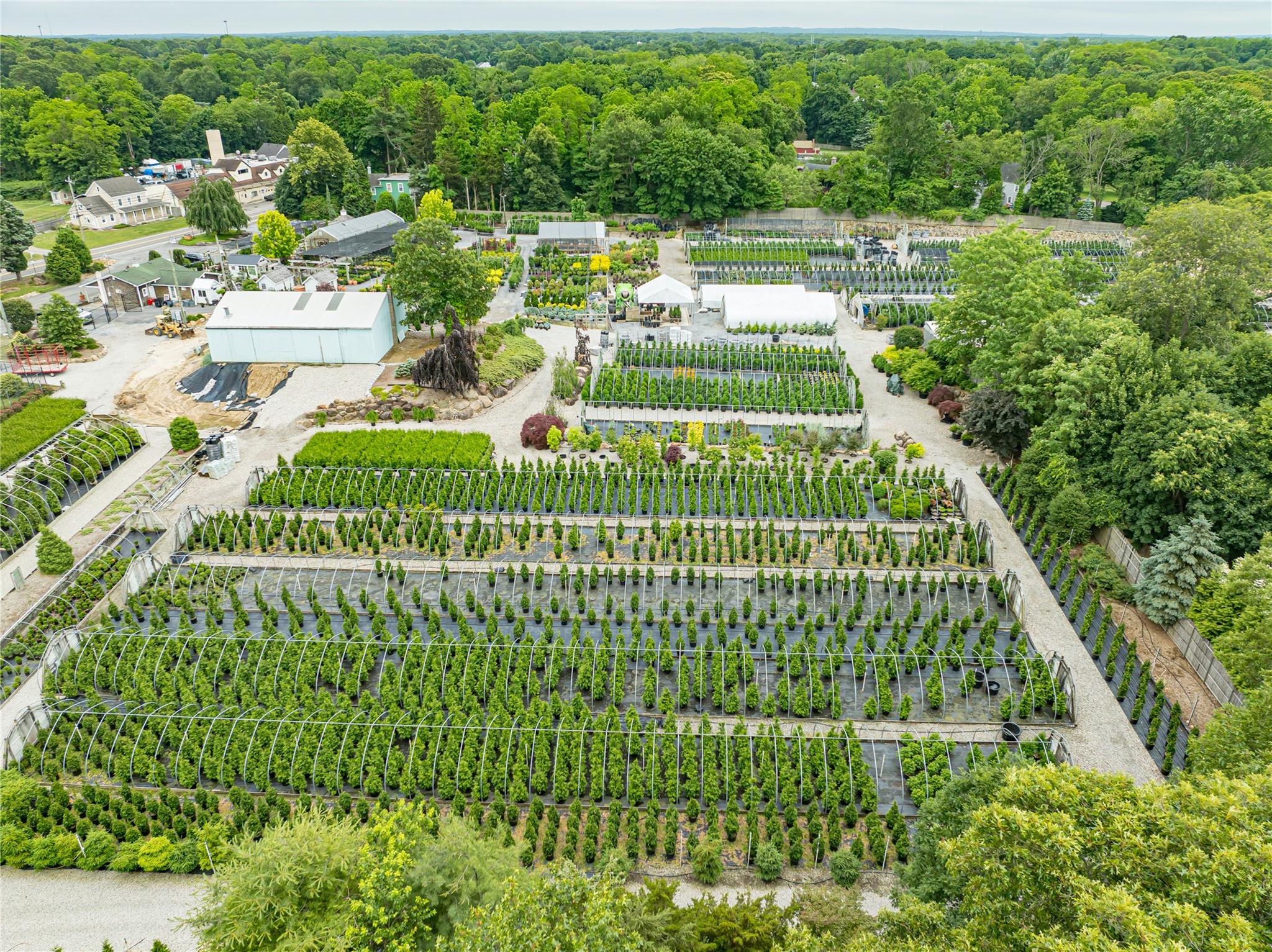 #6 photo, 185-191 N Country Road, サフォーク郡 Mount Sinai , NY 11766