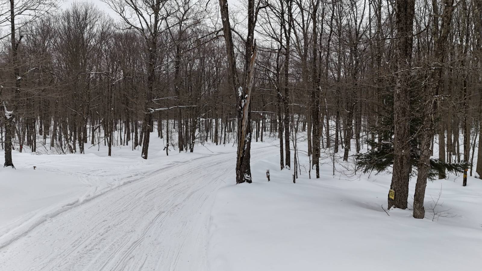 #11 photo, 00 Jackson Rd, Osceola , NY 13437