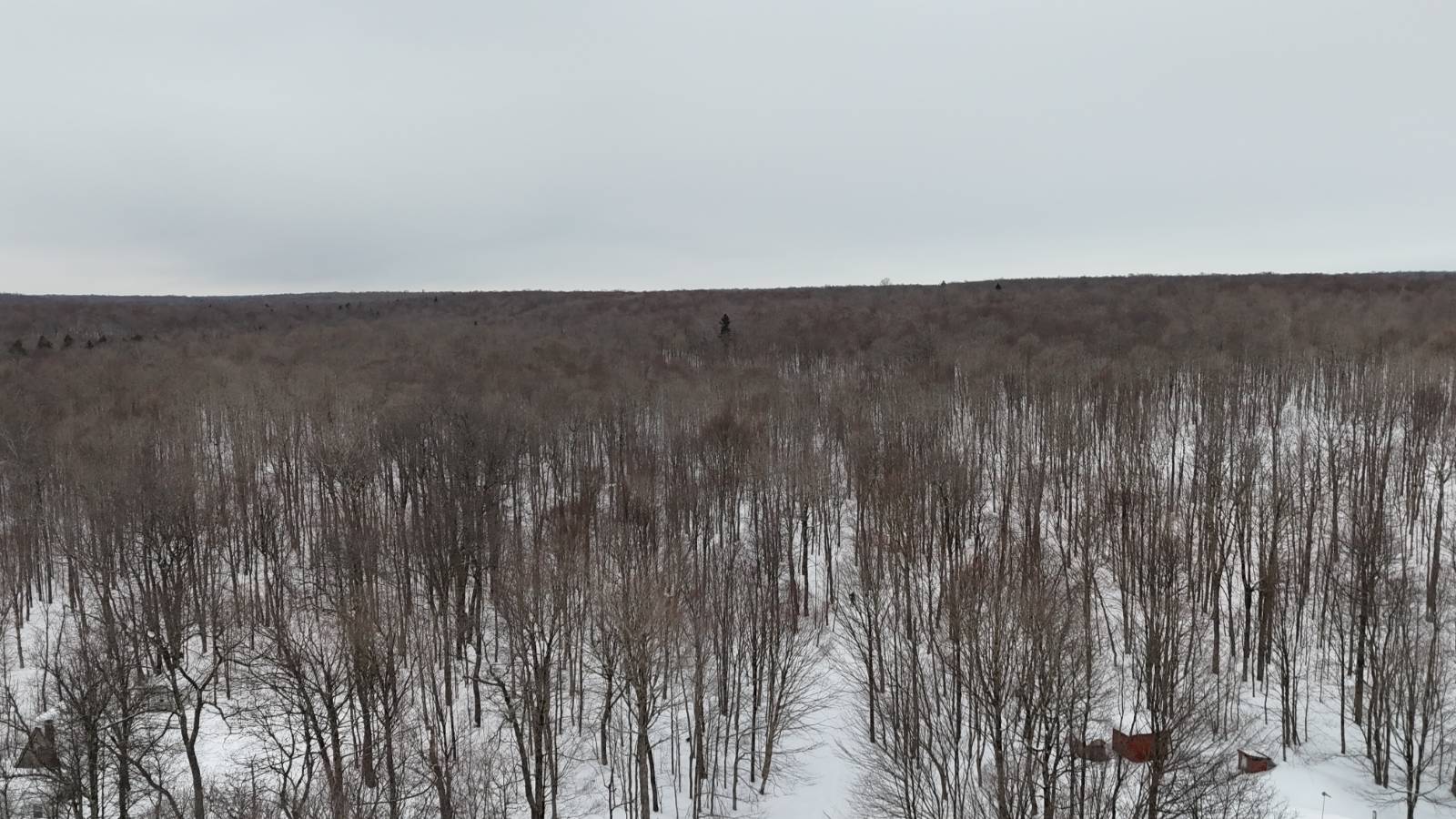 #12 photo, 00 Jackson Rd, Osceola , NY 13437