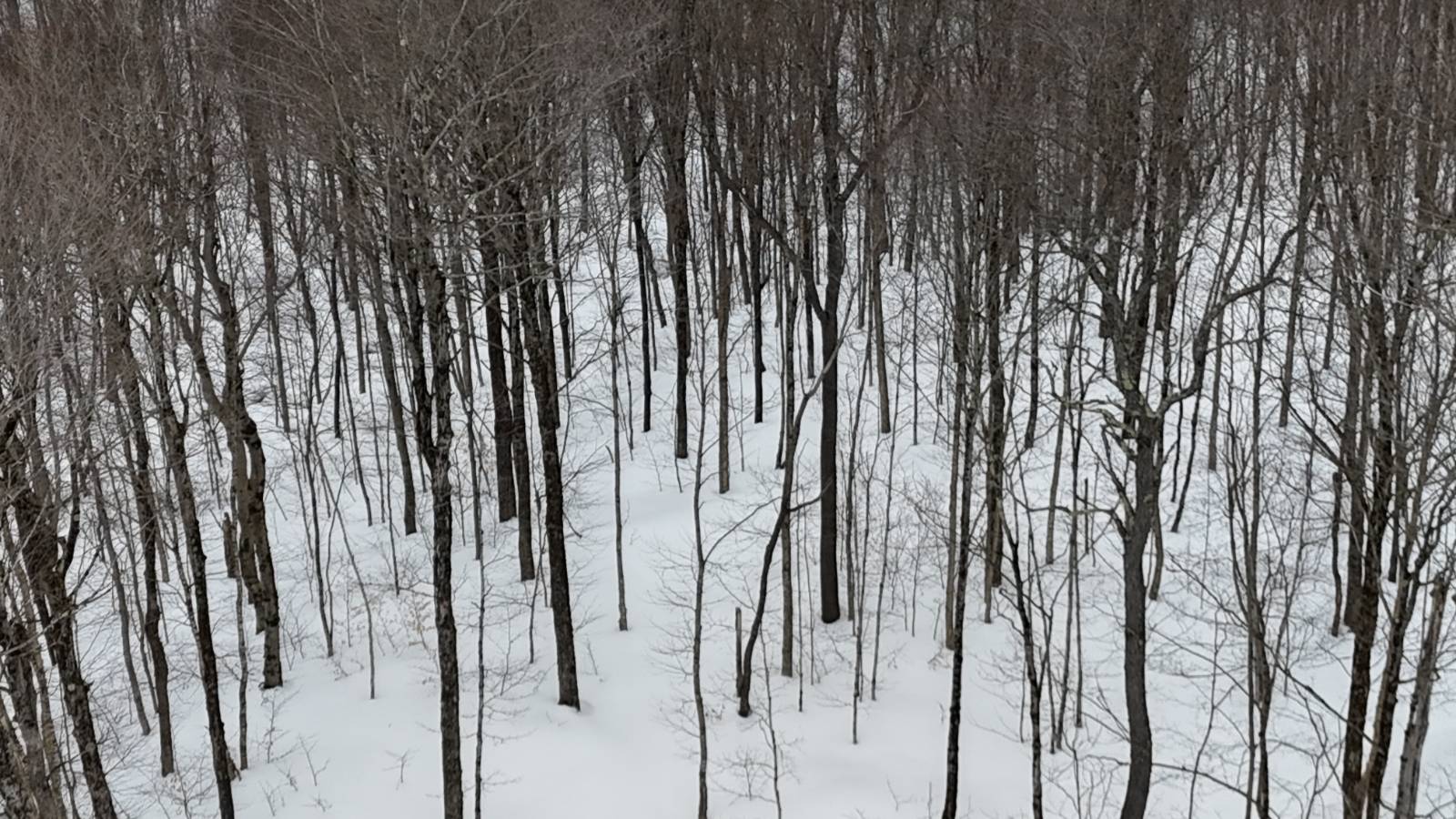 #15 photo, 00 Jackson Rd, Osceola , NY 13437