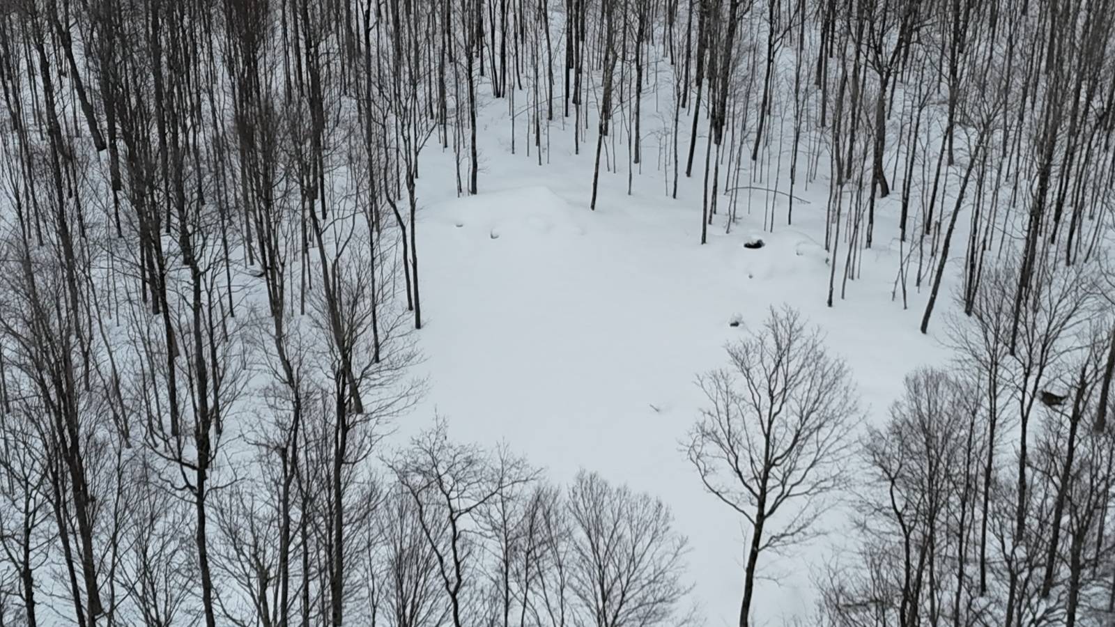 #17 photo, 00 Jackson Rd, Osceola , NY 13437