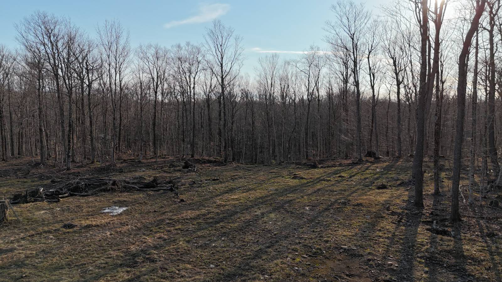 #19 photo, 00 Jackson Rd, Osceola , NY 13437