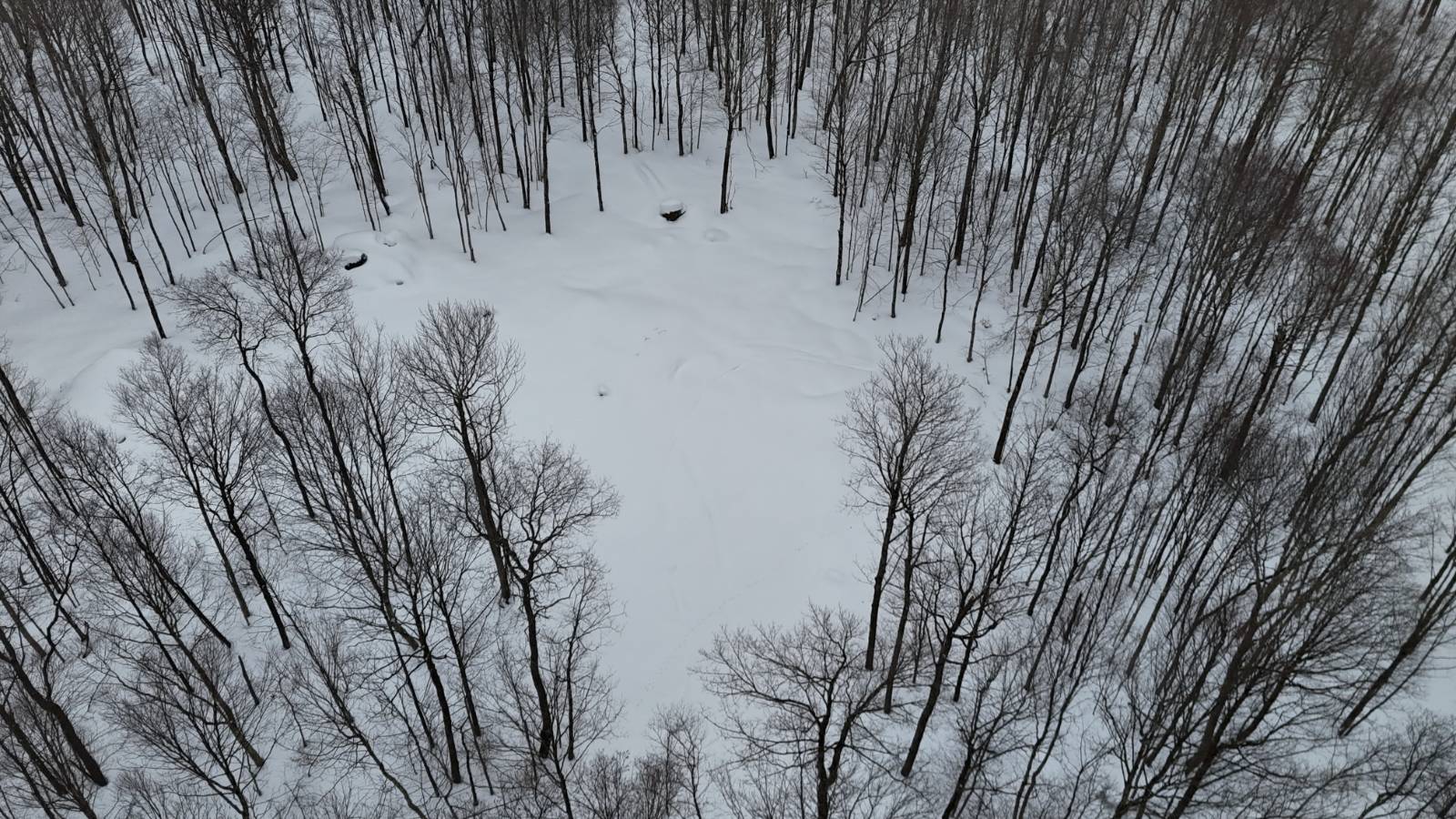 #2 photo, 00 Jackson Rd, Osceola , NY 13437