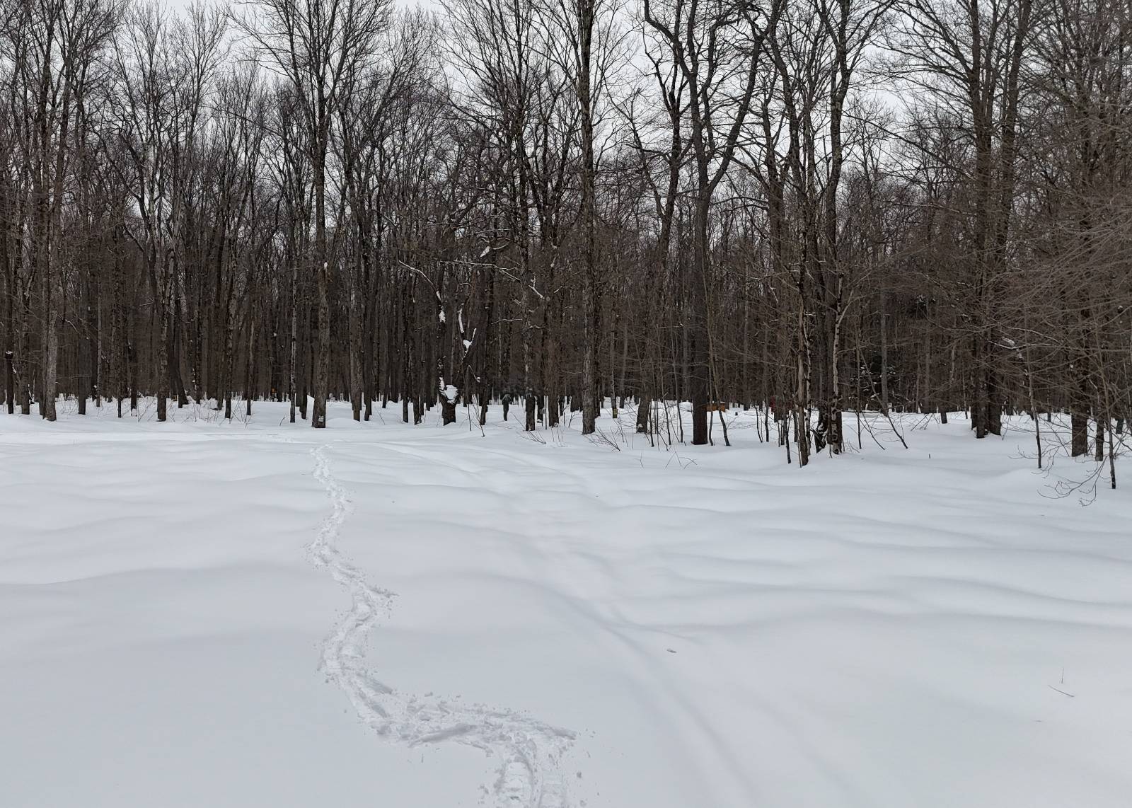 #20 photo, 00 Jackson Rd, Osceola , NY 13437