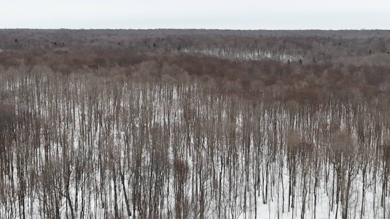 #21 photo, 00 Jackson Rd, Osceola , NY 13437