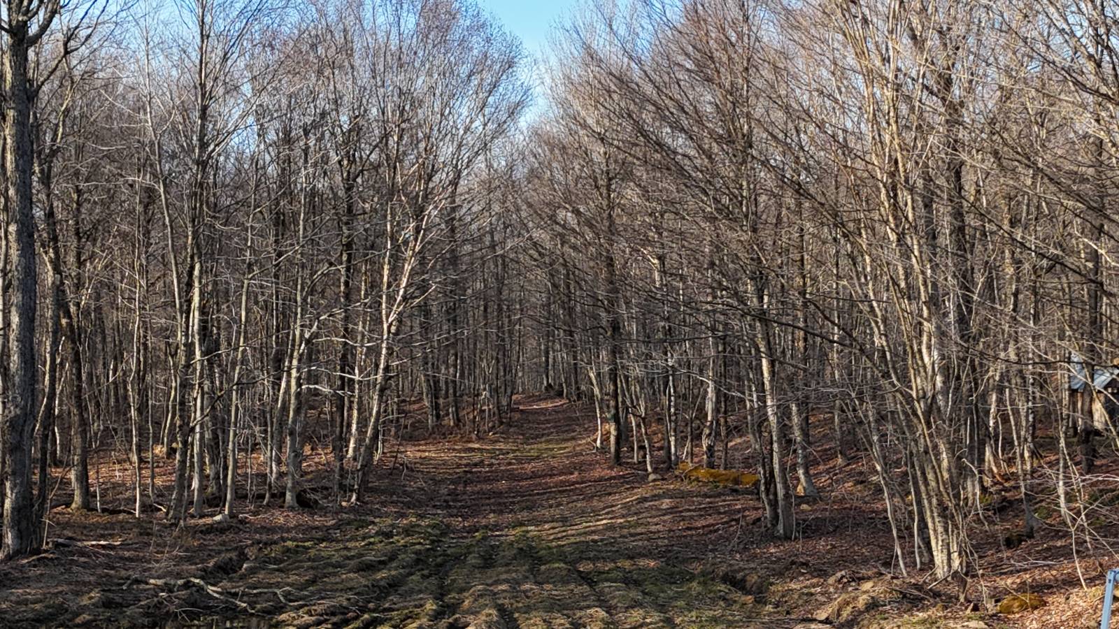 #22 photo, 00 Jackson Rd, Osceola , NY 13437