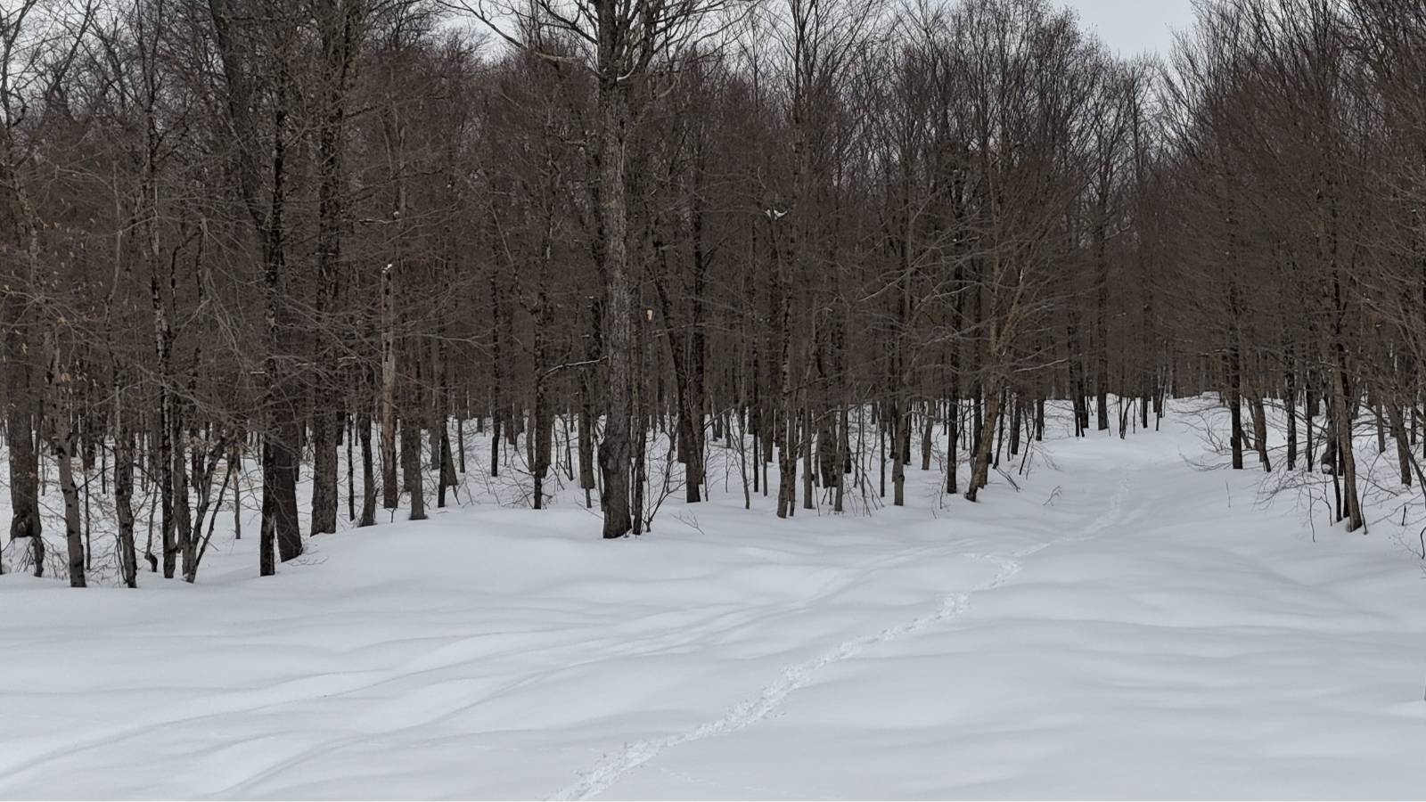 #23 photo, 00 Jackson Rd, Osceola , NY 13437