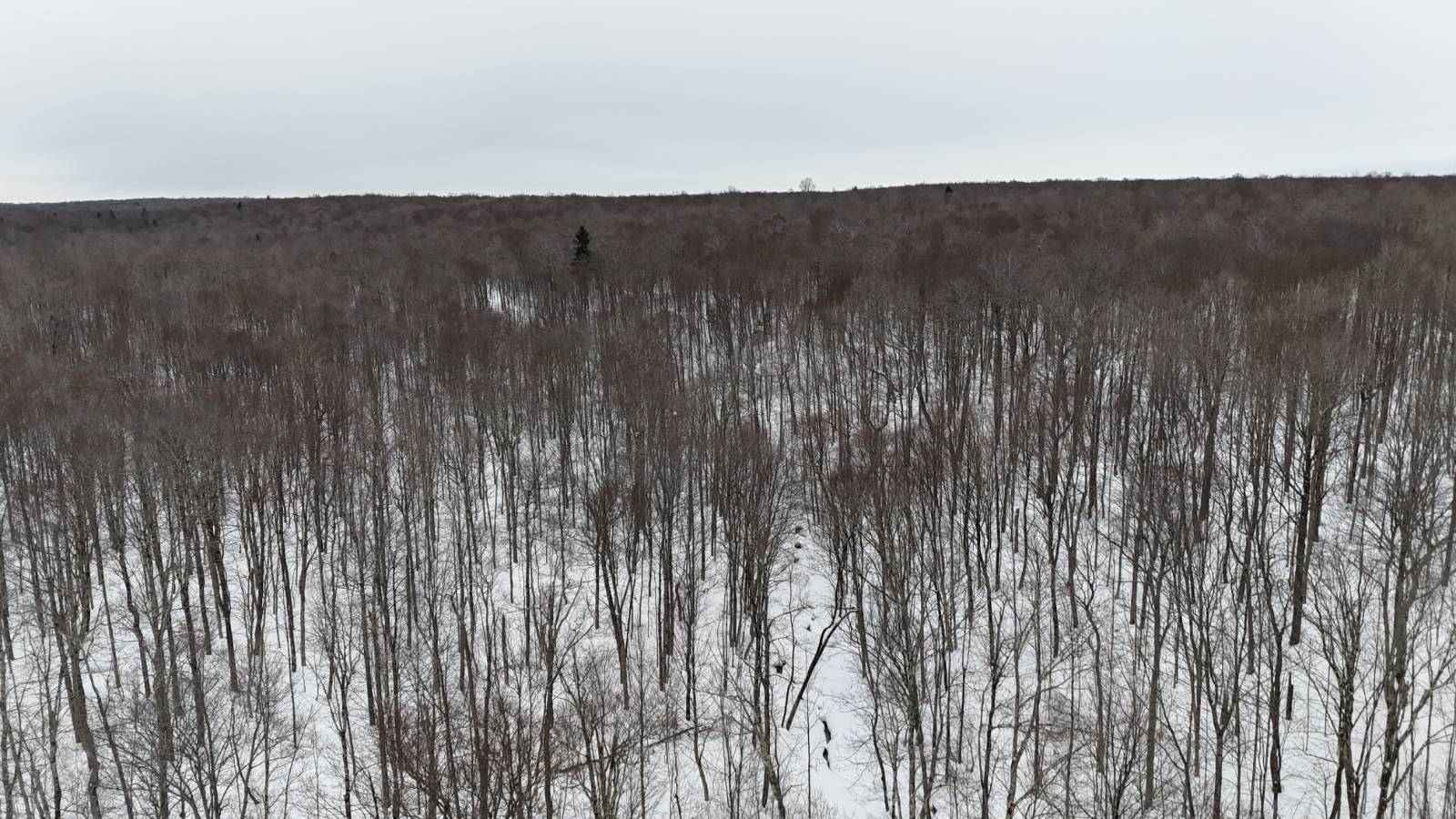 #6 photo, 00 Jackson Rd, Osceola , NY 13437