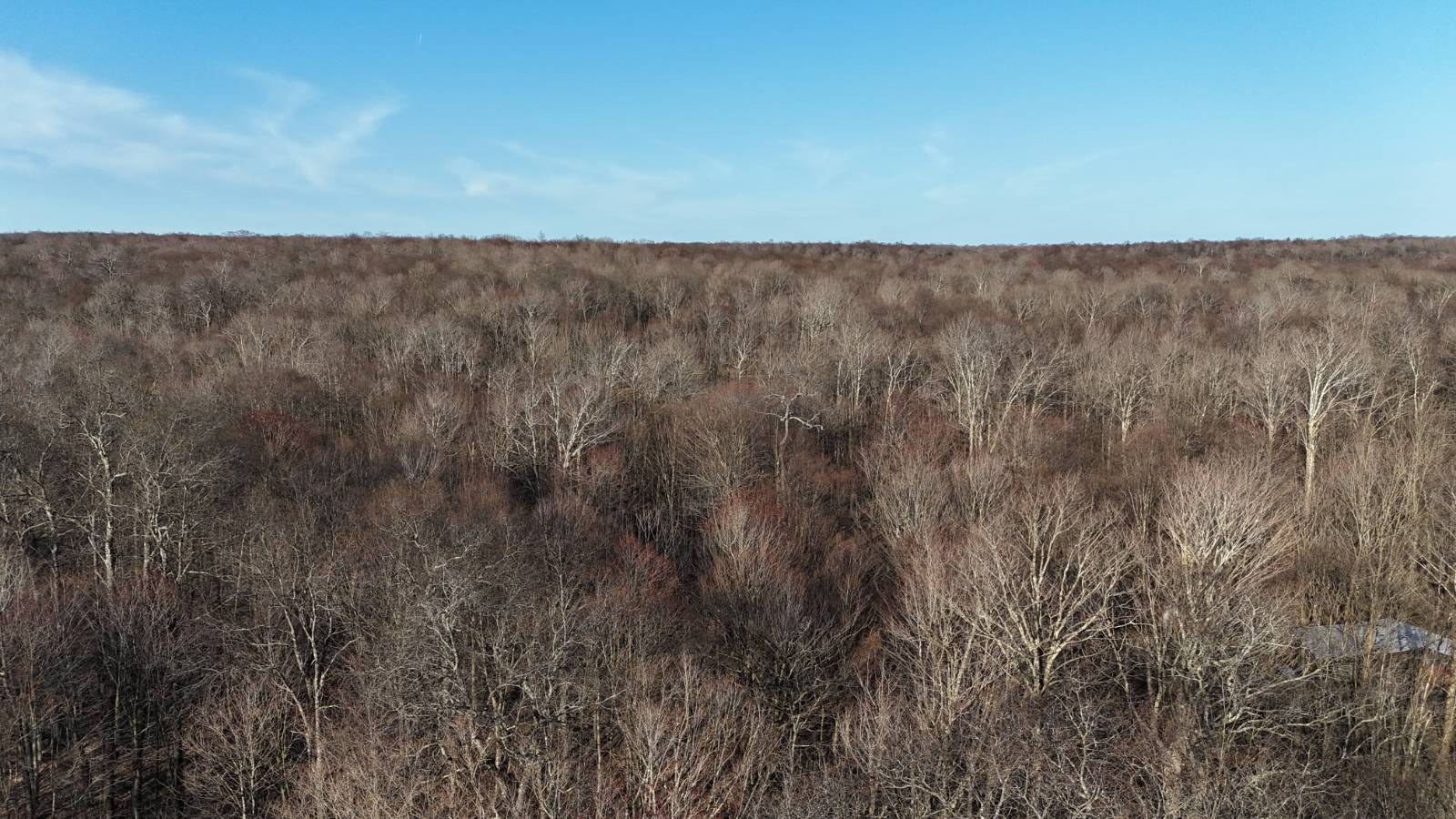 #7 photo, 00 Jackson Rd, Osceola , NY 13437