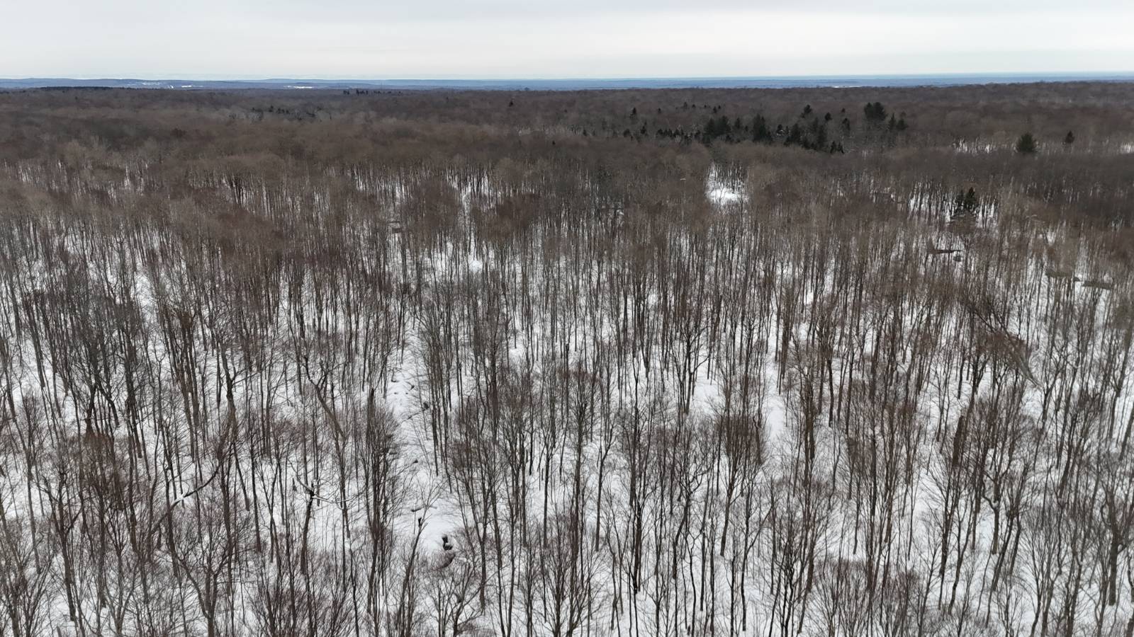 #8 photo, 00 Jackson Rd, Osceola , NY 13437