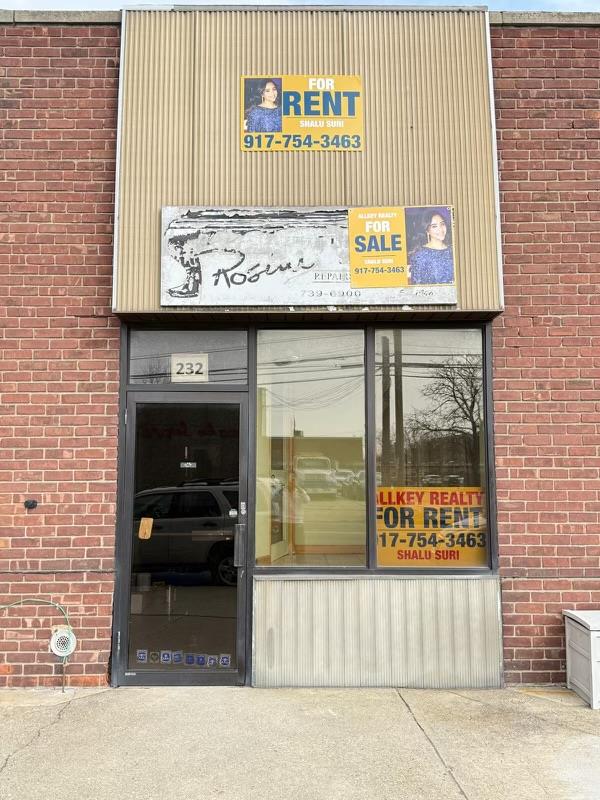 #7 photo, 230-232 Herricks Road, ナッソー郡 Mineola , NY 11501