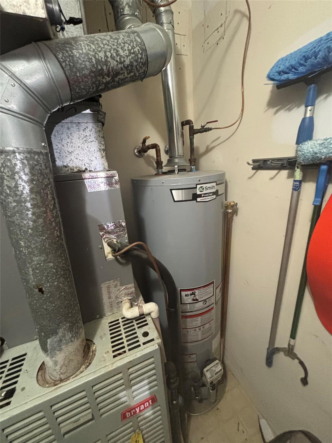 #12 photo, 406 Hinsdale Street, ブルックリン区 Brooklyn , NY 11207