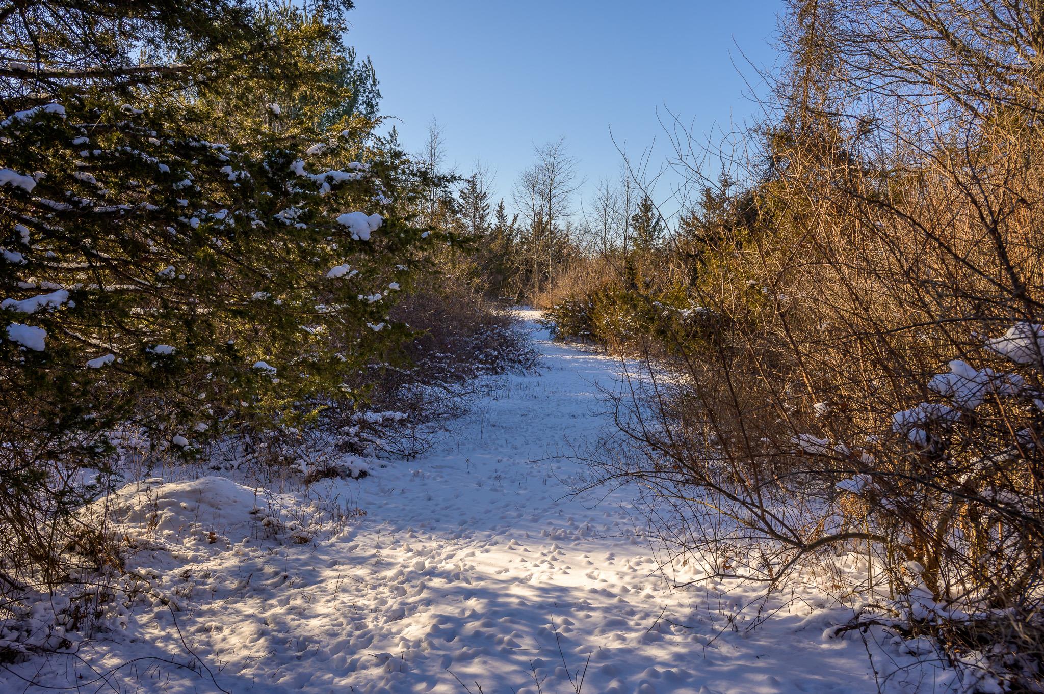 #6 photo, 33 Vosburgh Road, Red Hook , NY 12571