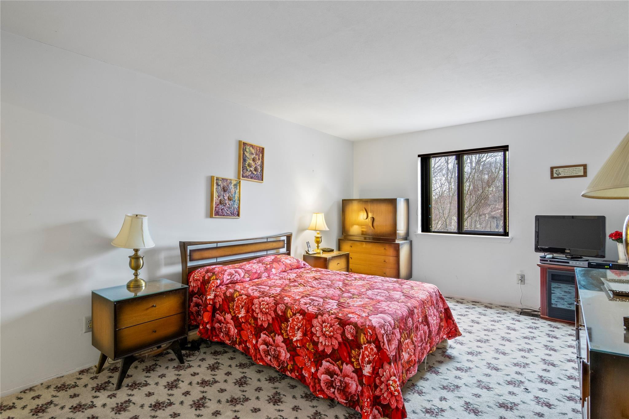 #9 photo, 154 Birchwood Road, 東長島 科勒姆 Coram , NY 11727