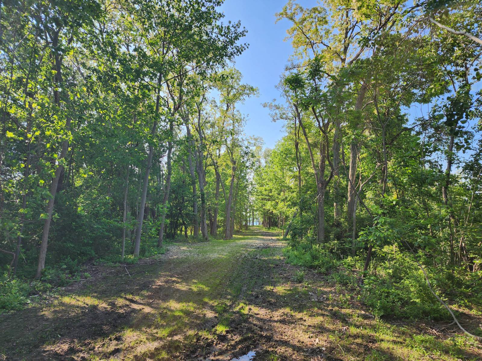 #2 photo, 0 East Lake Rd., Westfield , NY 14787