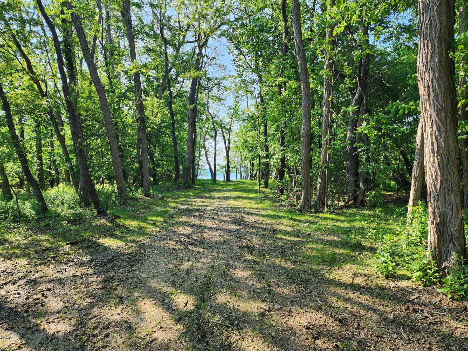 #3 photo, 0 East Lake Rd., Westfield , NY 14787