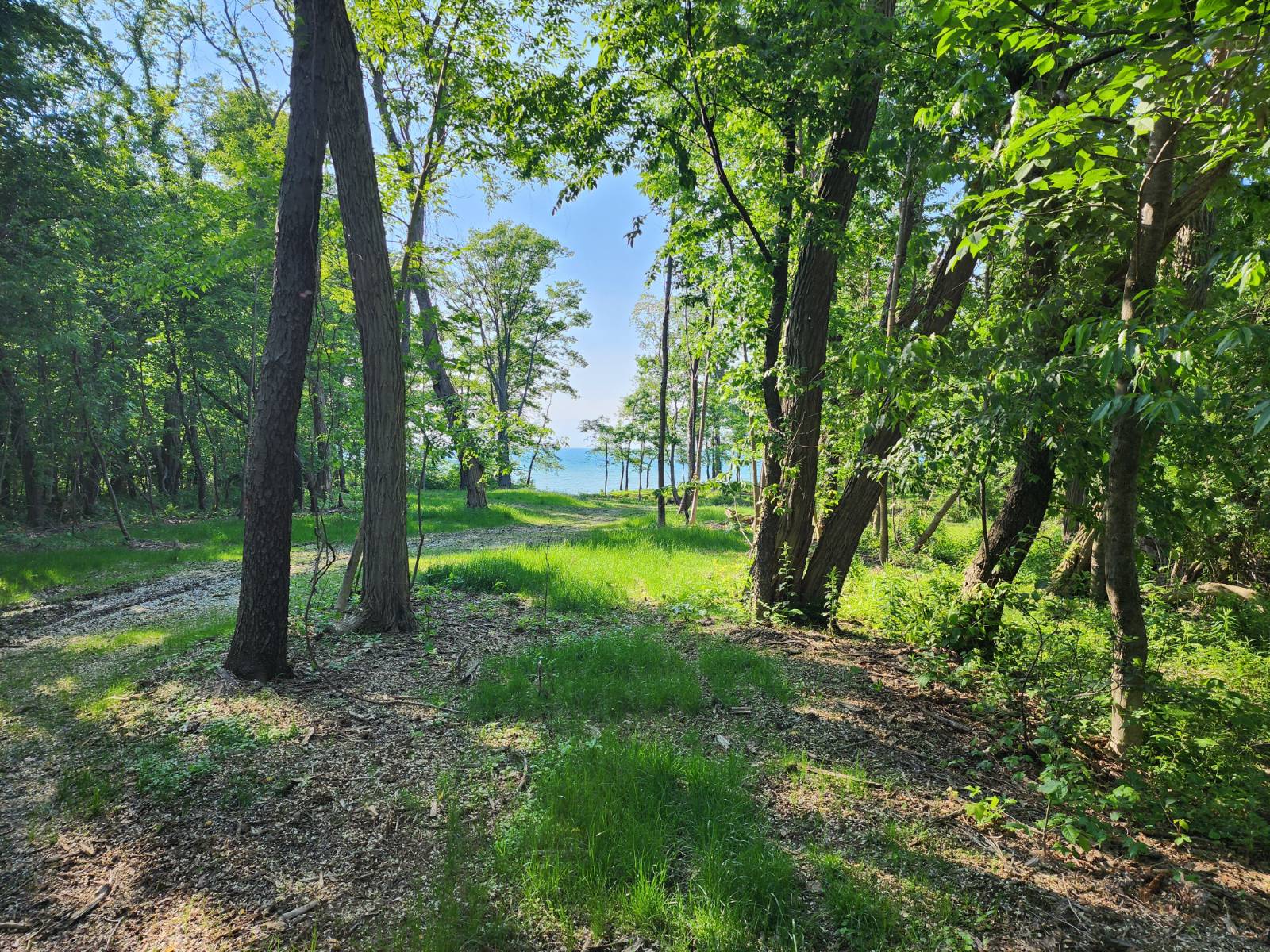 #4 photo, 0 East Lake Rd., Westfield , NY 14787