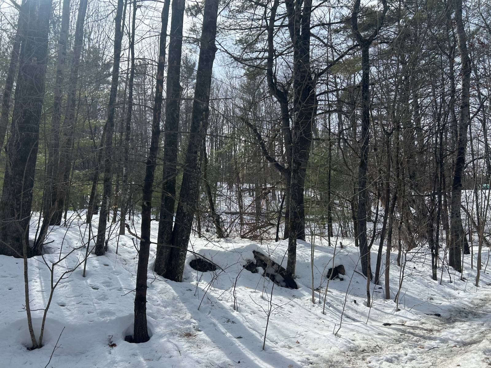 #3 photo, L11.120  Hogback Road, Essex , NY 12928