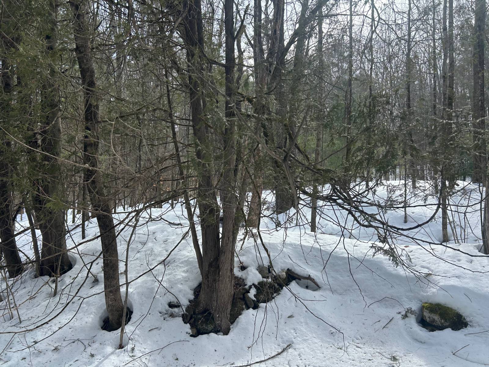 #3 photo, L22.120 Hog Back Road, Essex , NY 12928