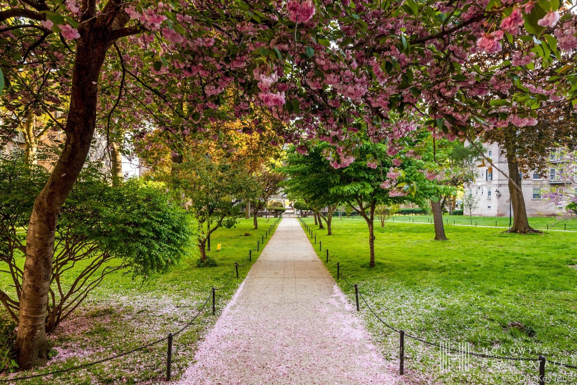 #12 photo, 55-03 31st Avenue, クイーンズ区 Woodside , NY 11377