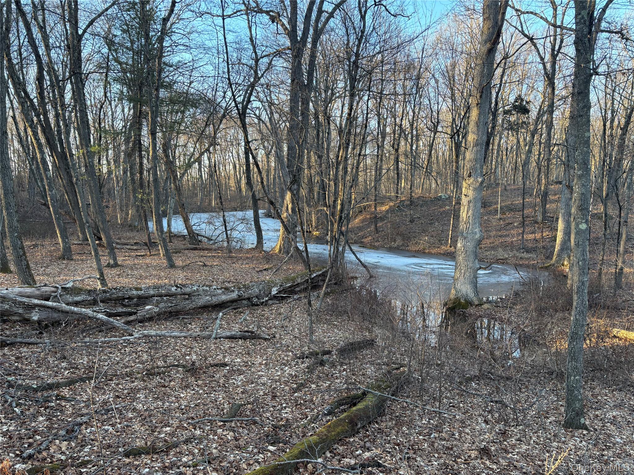 #2 photo, Barkit Kennel Rd, Pleasant Valley , NY 