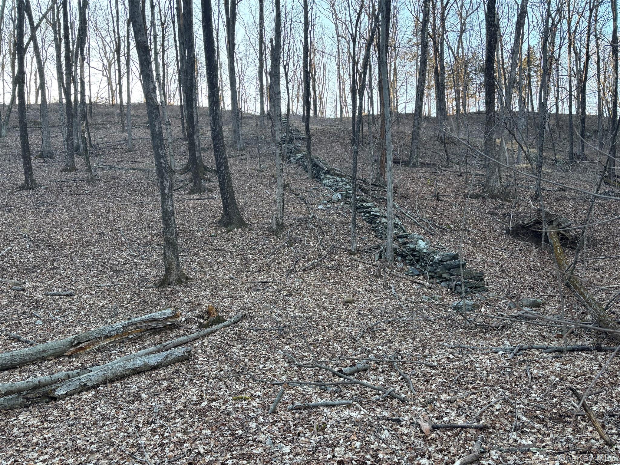 #3 photo, Barkit Kennel Rd, Pleasant Valley , NY 