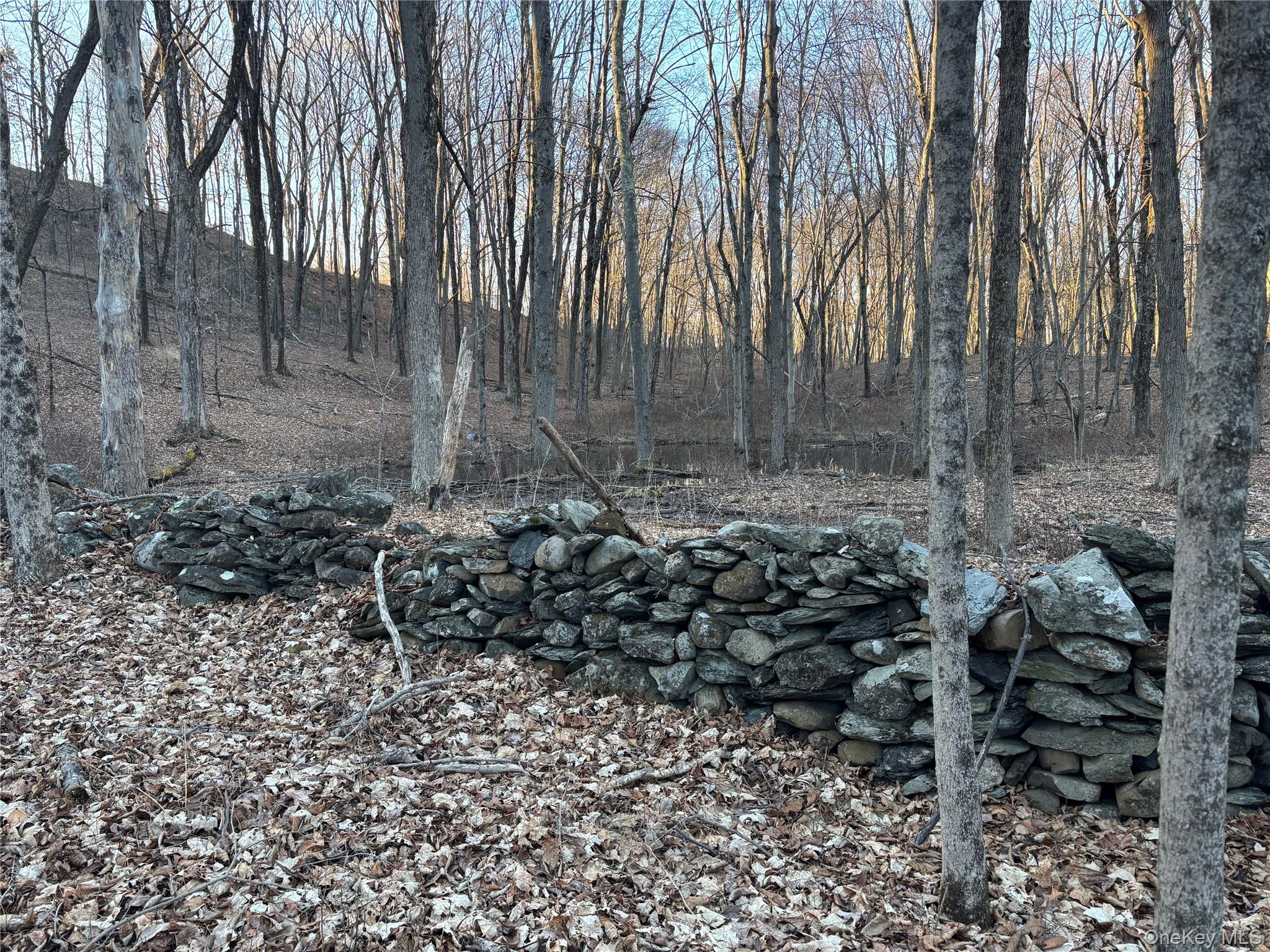 #4 photo, Barkit Kennel Rd, Pleasant Valley , NY 