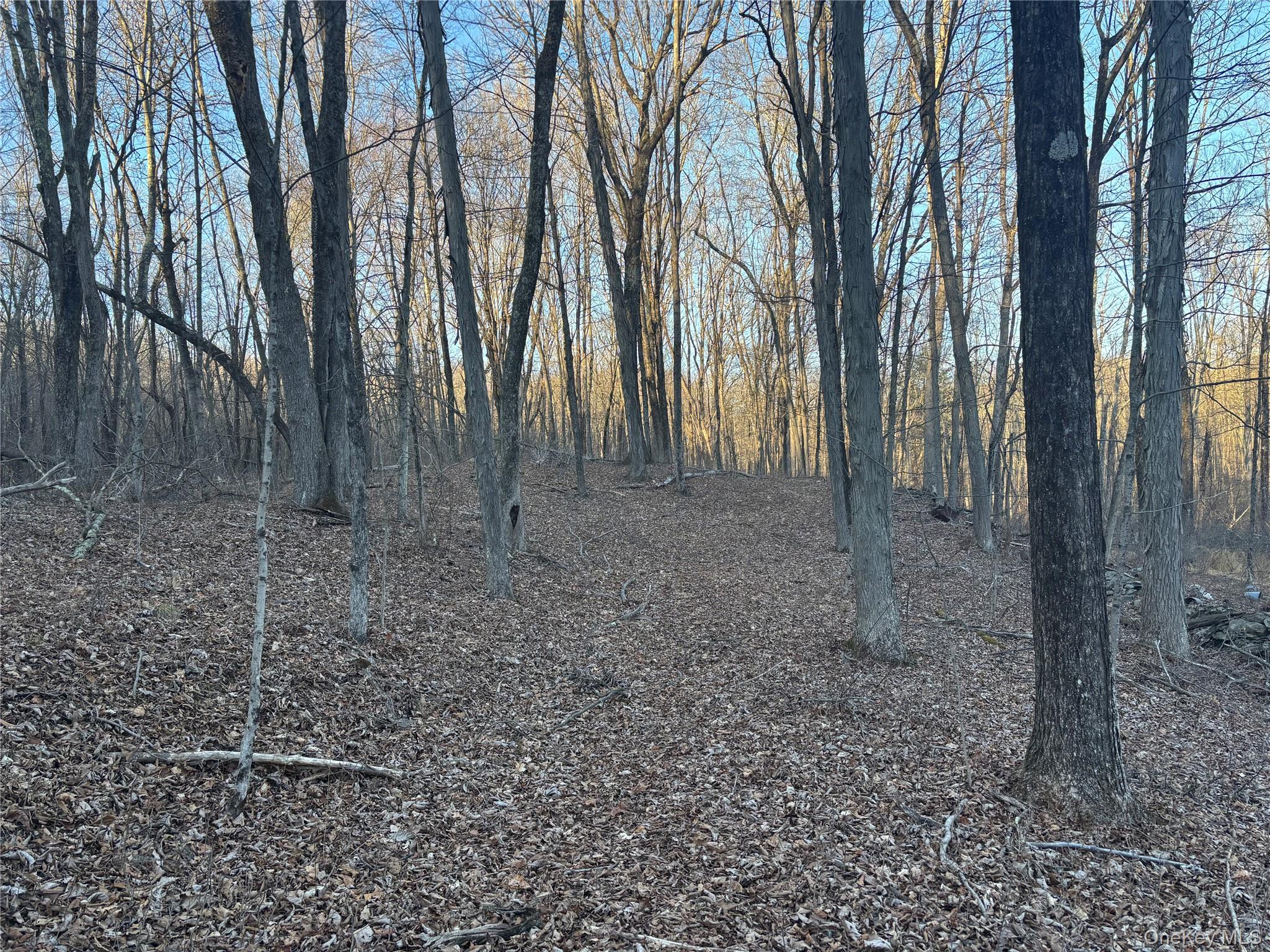 #5 photo, Barkit Kennel Rd, Pleasant Valley , NY 