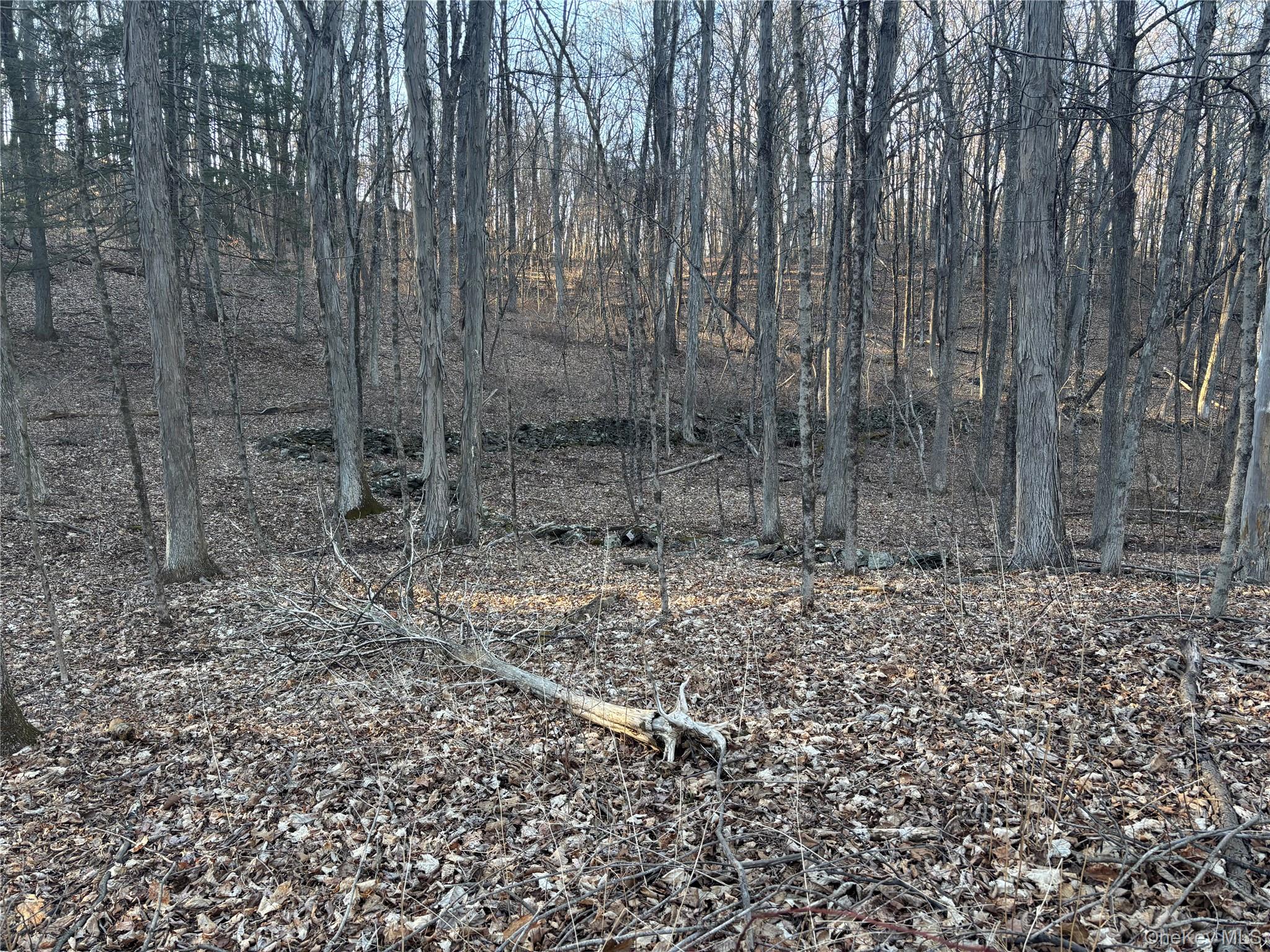 #6 photo, Barkit Kennel Rd, Pleasant Valley , NY 